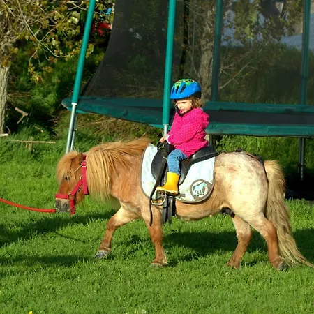 Chalet Logt Vue Mer Avec Trampoline Et Poney Le Long Du Gr Dieppe